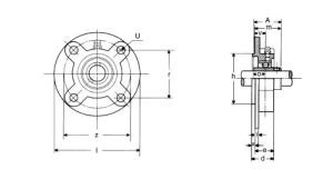 ucfc1-300x161