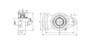 ucfa-300x132